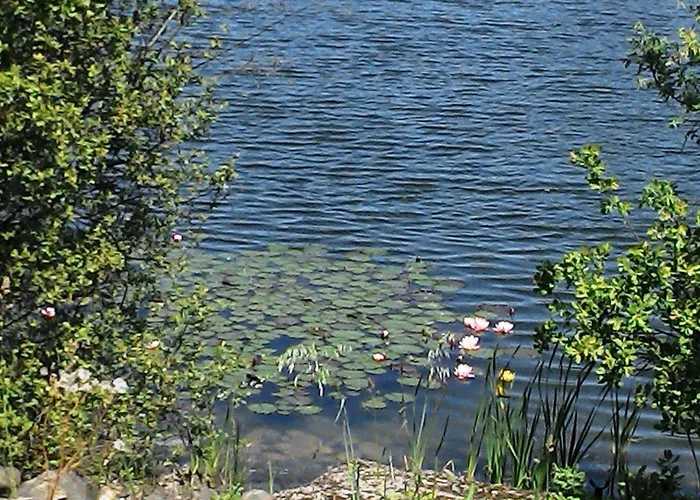 Domaine D'ariane 3* Mondonville